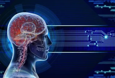 Amazon e intelligenza artificiale: Cambiamenti in vista per il mercato del lavoro