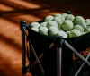 Nick Kyrgios: trionfi e turbolenze a Wimbledon