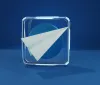Telegram Innovativa: Verso un futuro con Fact-Checking integrato
