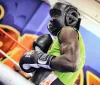 Terence Crawford, la SuperStar del pugilato, verso il ritiro definitivo