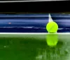 Wimbledon 2025: Le Sfide dei quarti di finale femminili scaldano i motori