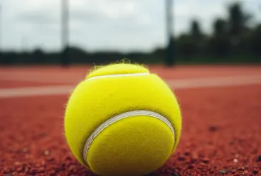 Jannik Sinner: dallo storico successo a Wimbledon alle vacanze sarde