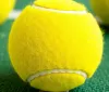 Omaggio emozionante a Fognini: Cobolli in lacrime