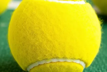 Omaggio emozionante a Fognini: Cobolli in lacrime