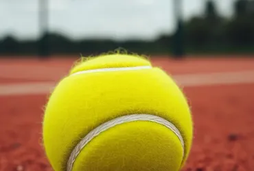 Tennis e corruzione: le sanzioni a Luini e Reitano