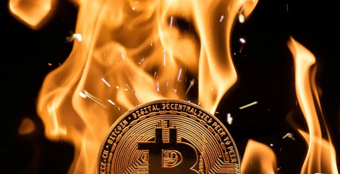 James Howells: Nuova speranza dalla discarica ai token