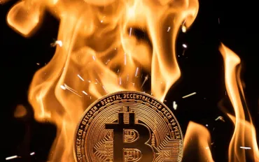 James Howells: Nuova speranza dalla discarica ai token