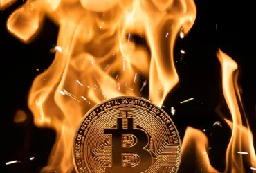 James Howells: Nuova speranza dalla discarica ai token