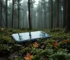 iPhone caduto da aereo: Incredibile Sopravvivenza nella foresta tedesca