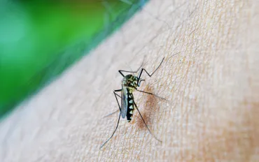 Lazio: Dia ha contratto la malaria