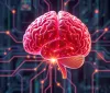 Rivoluzionaria scoperta nel campo degli interfaccia ‘Cervello-Computer’