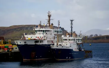 Sequestrati su navi passeggeri apparecchi da intrattenimento senza vincite di denaro