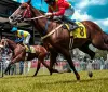 Boom di vincite nelle scommesse Ippiche in agenzia