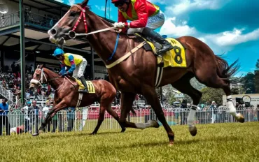 Boom di vincite nelle scommesse Ippiche in agenzia