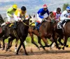 Blitz a Merano: Farmaci Illegali Scoperti all'Ippodromo