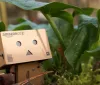 Amazon Italia festeggia 15 anni con offerte imperdibili