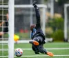 Pulisic segna e balla la Trump Dance