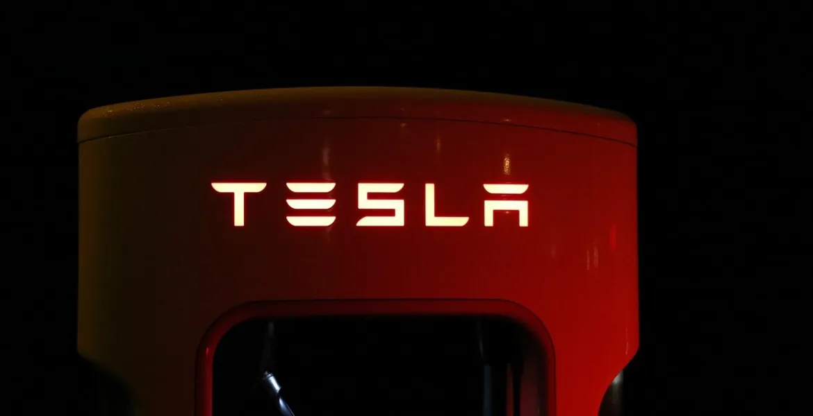 Tesla fatica a conquistare il mercato indiano: Solo 600 ordini in 2,5 mesi