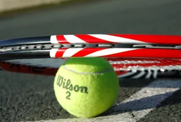 Novak Djokovic danza per Tara dopo vittoria agli US Open